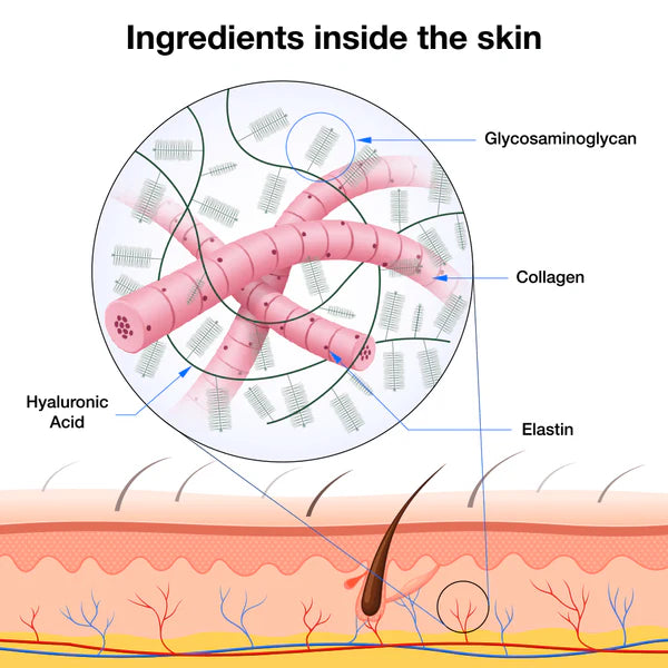 Ingredients inside the skin – how hyaluronic acid, collagen and elastin work in the dermis