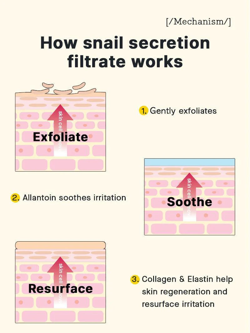 How snail secretion filtrate works in COSRX Snail 96 Mucin Power Essence – exfoliate, soothe, resurface