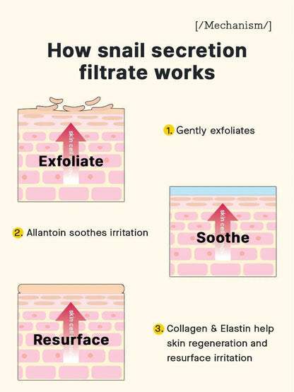 How snail secretion filtrate works in COSRX Snail 96 Mucin Power Essence – exfoliate, soothe, resurface